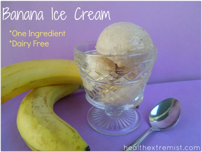 25 Dairy Free Ice Cream Recipes Savory Lotus